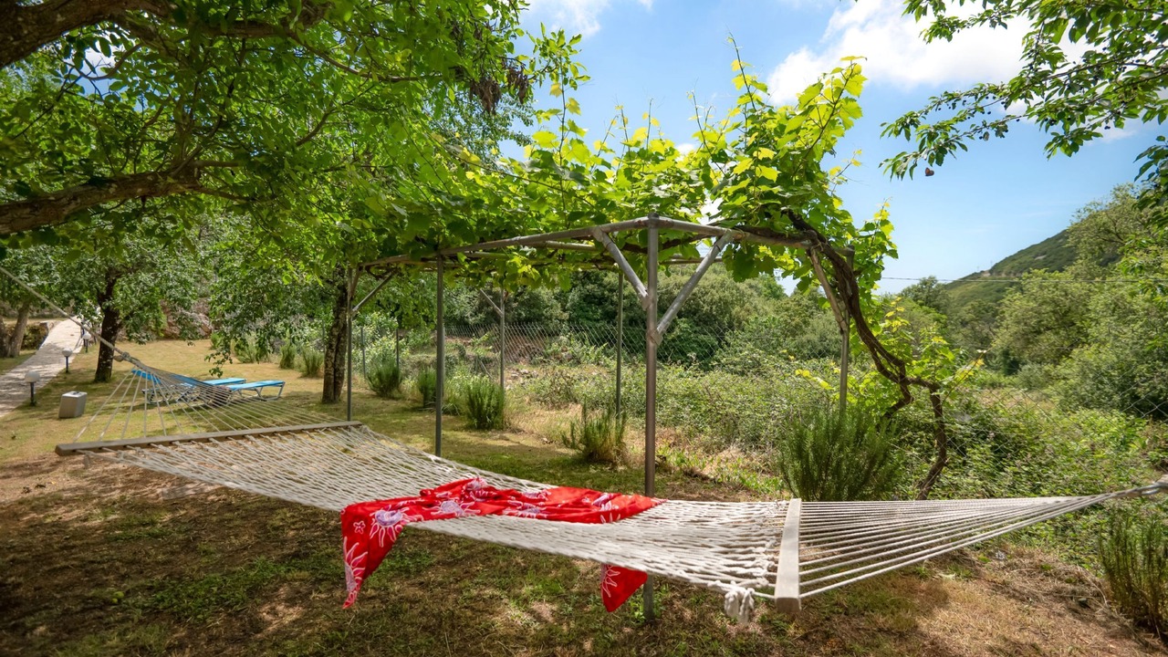 Photo of Outdoor in Petaleia