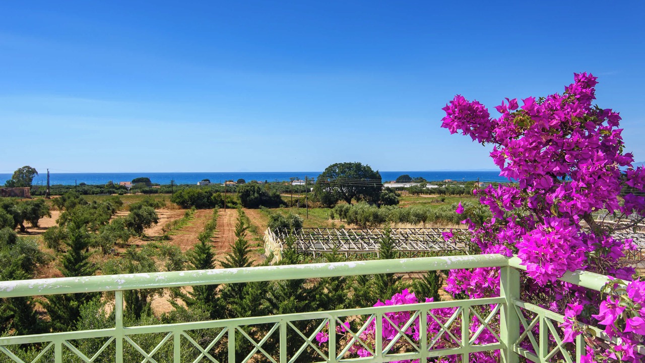 Photo of Patio Balcony in Agrilos