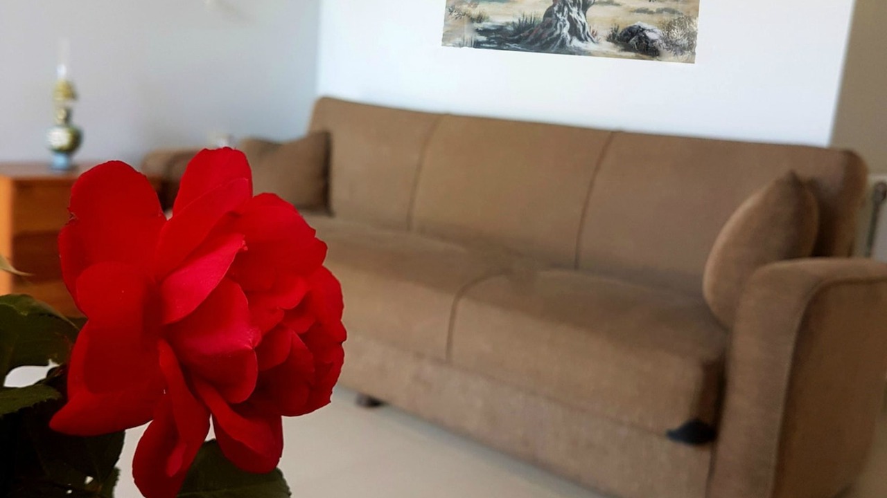 Photo of Livingroom in Drapanias