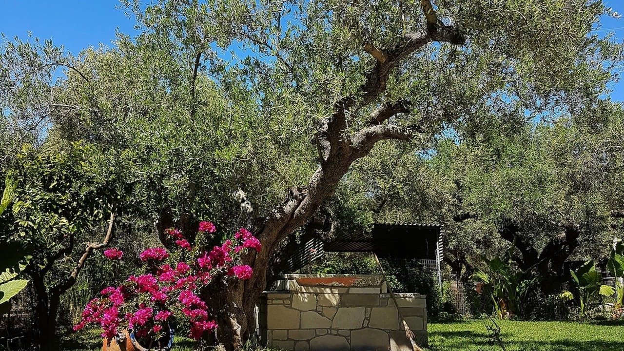 Photo of Outdoor in Drapanias