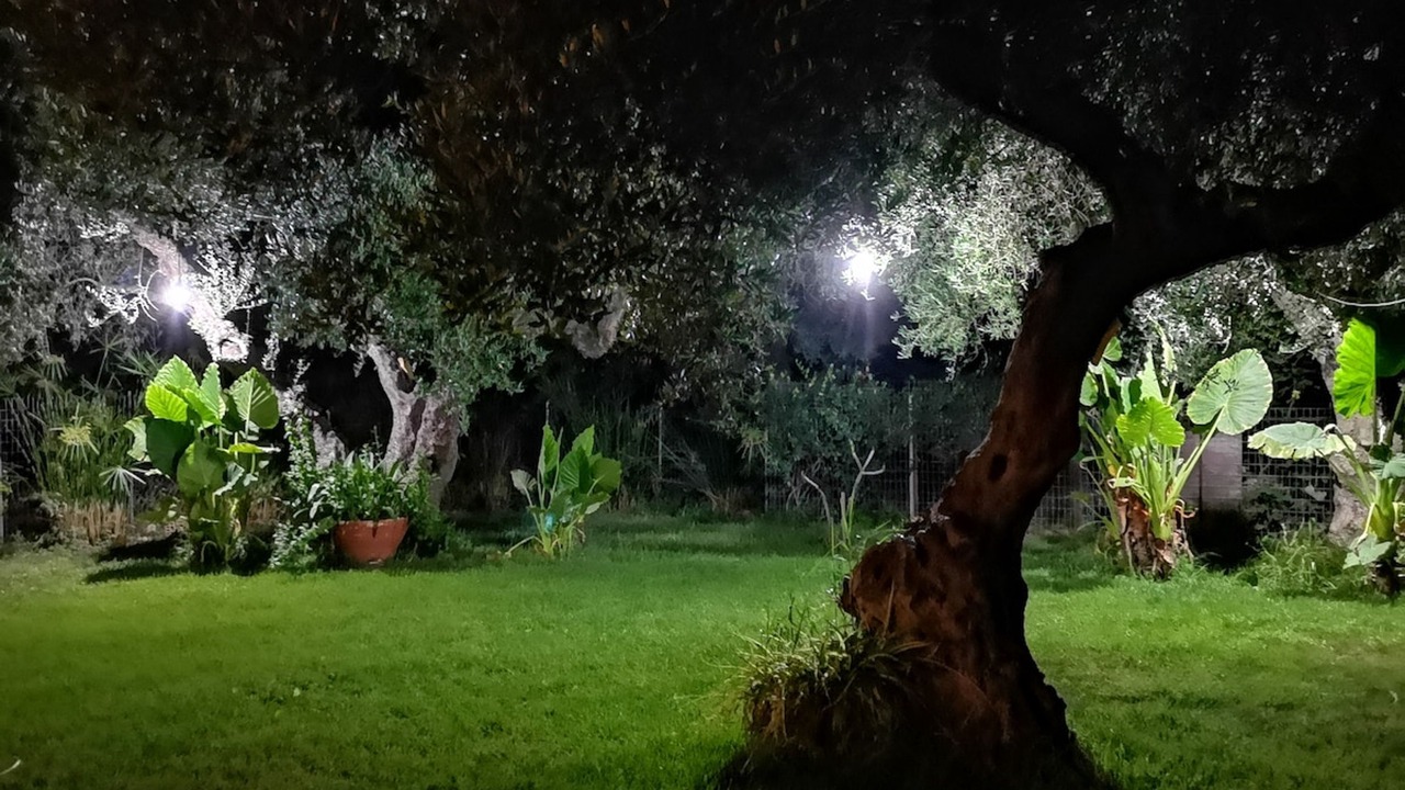 Photo of Outdoor in Drapanias