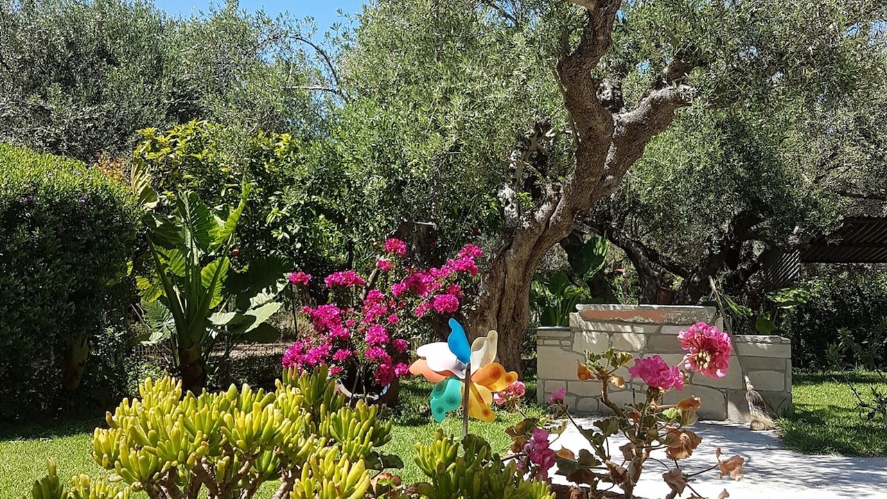 Photo of Outdoor in Drapanias