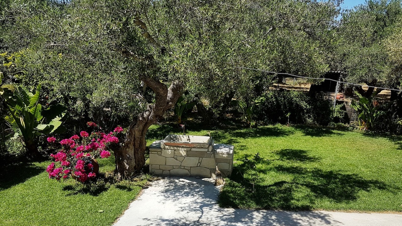 Photo of Outdoor in Drapanias