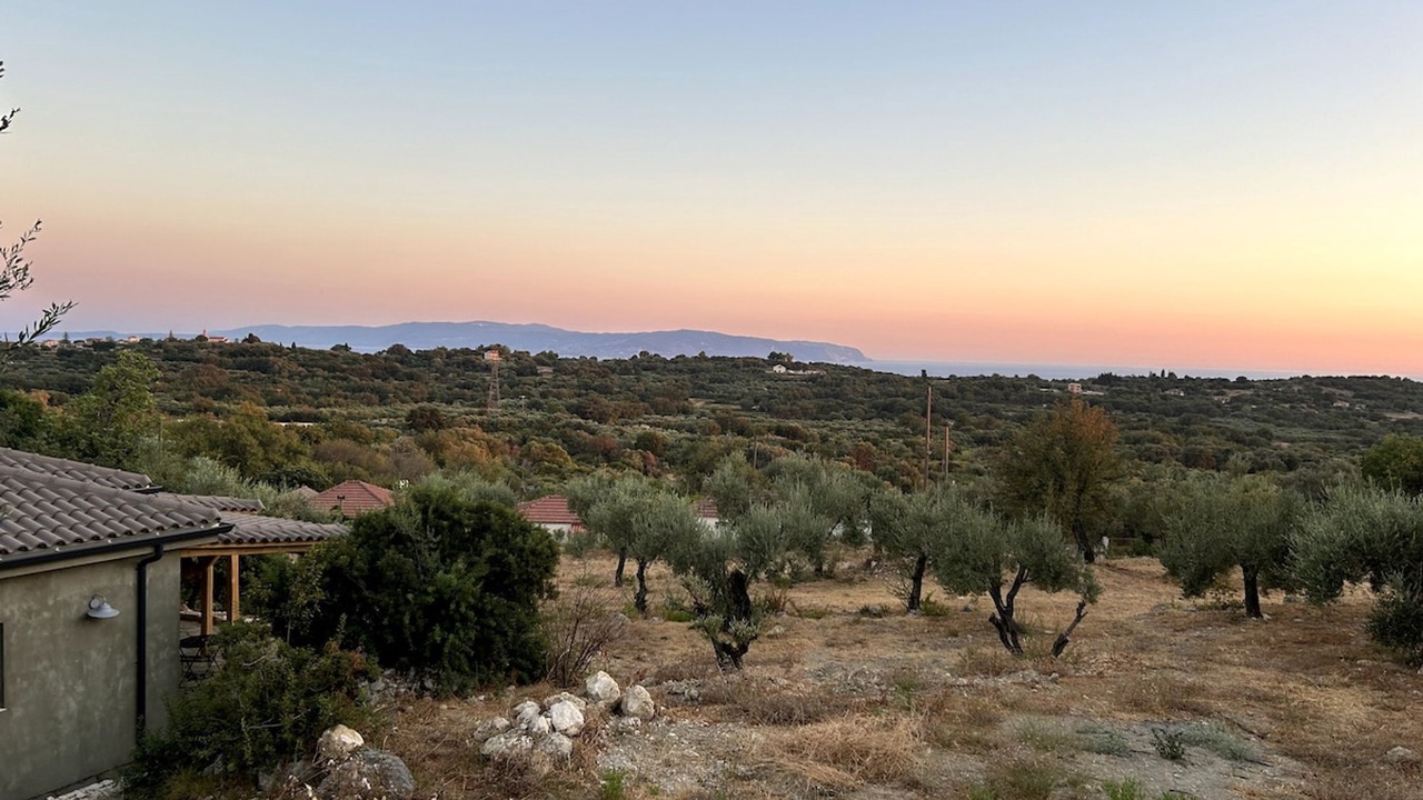 Photo of Others in Kolaitis
