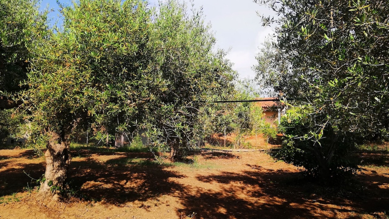 Photo of Outdoor in Agrilos
