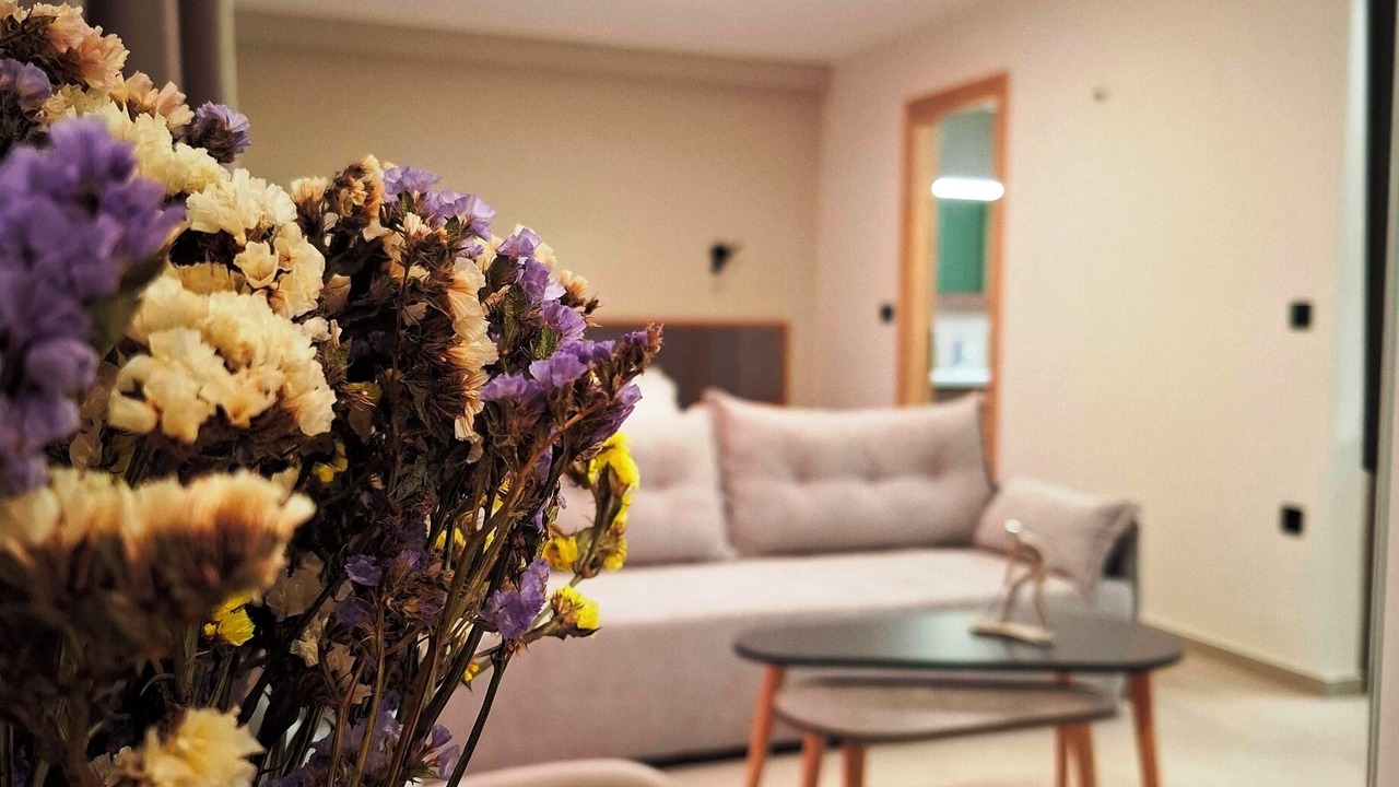 Photo of Livingroom in Skafidia
