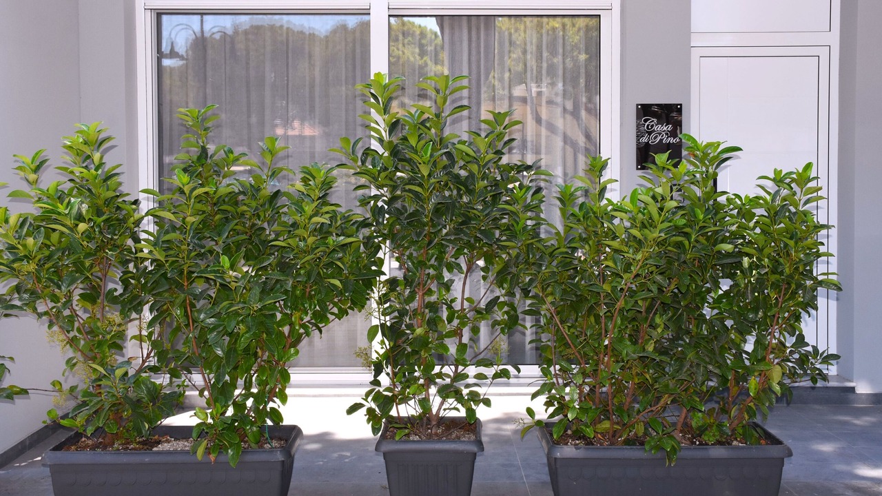 Photo of Outdoor in Paradisi