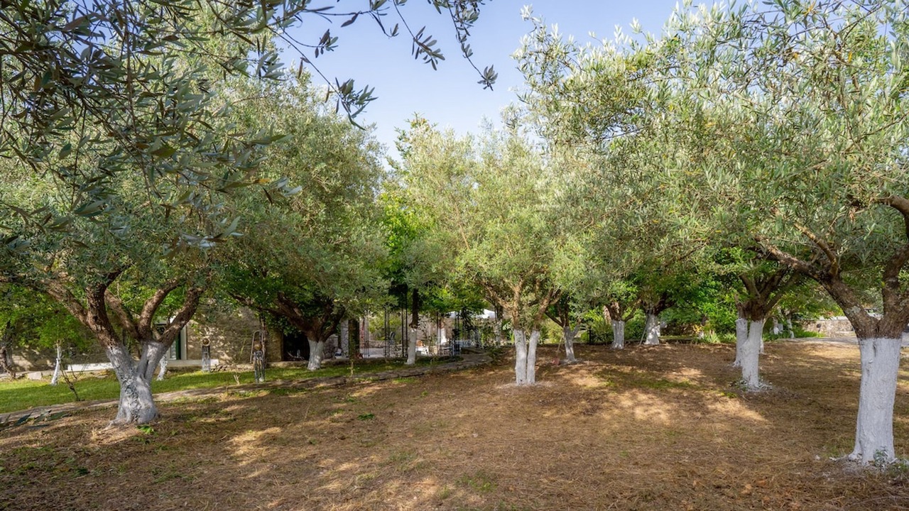 Photo of Outdoor in Asprogerakata
