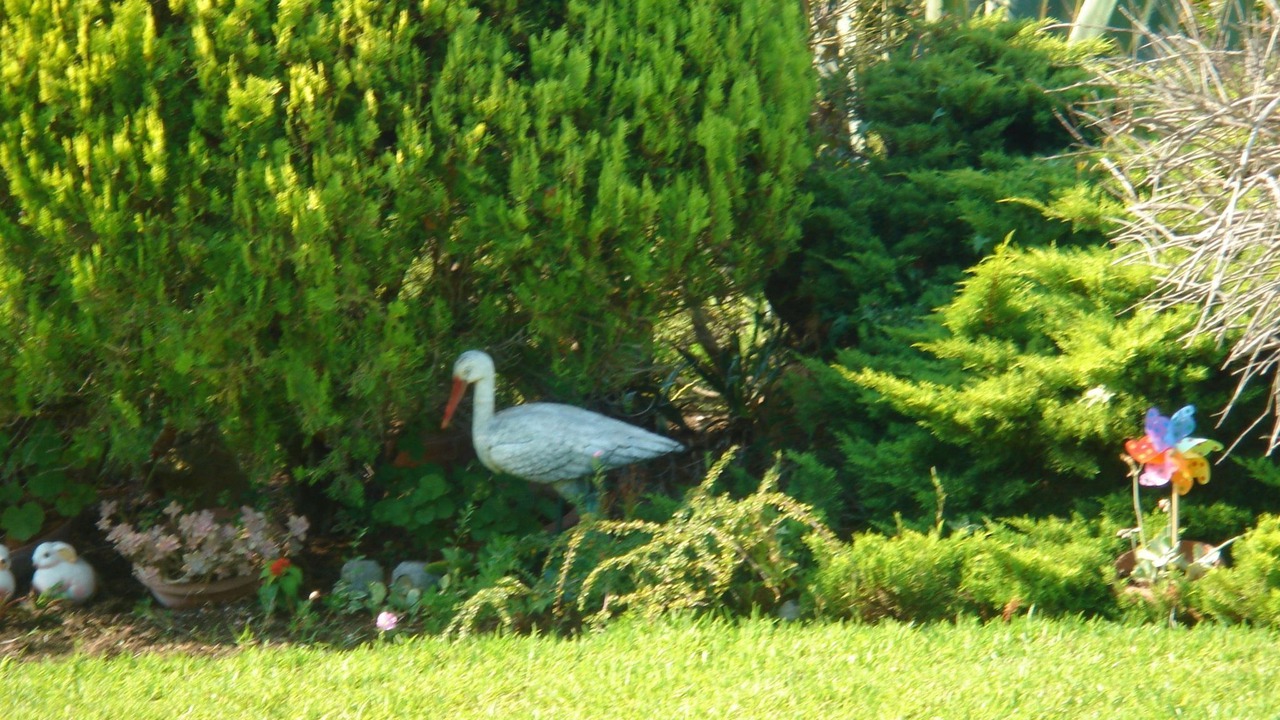 Photo of Outdoor in Nea Skioni
