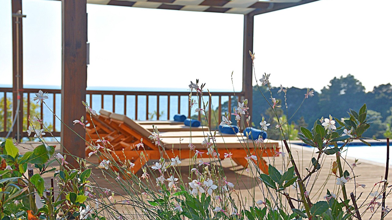 Photo of Outdoor in Parelia