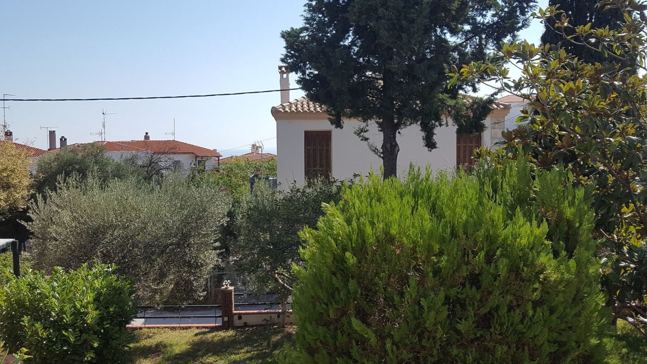 Photo of Outdoor in Afytos