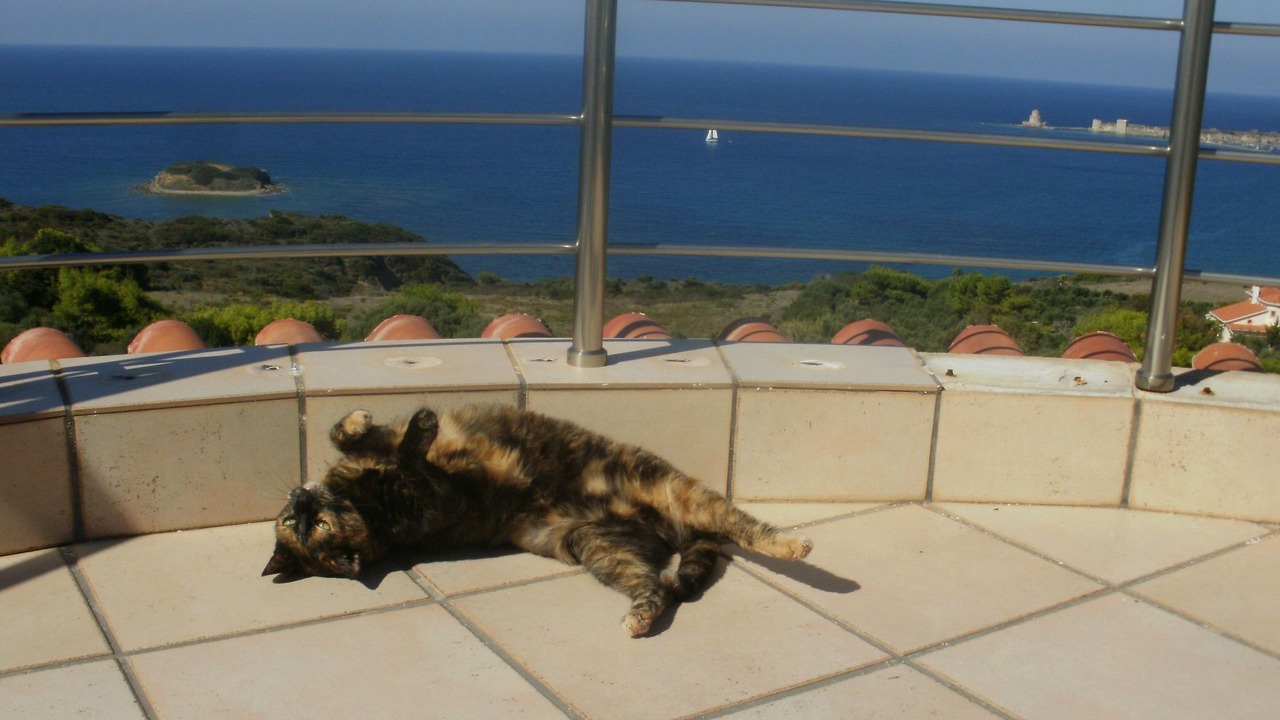 Photo of Others in Pylos-Nestoras