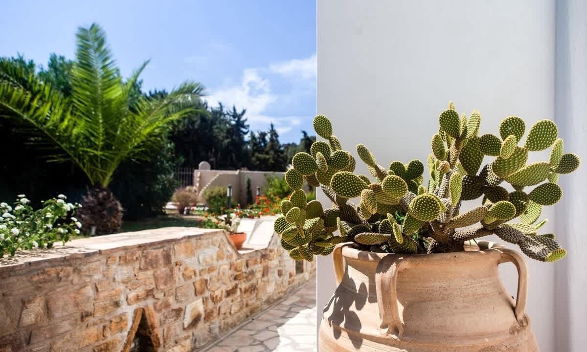Photo of Outdoor in Naxos