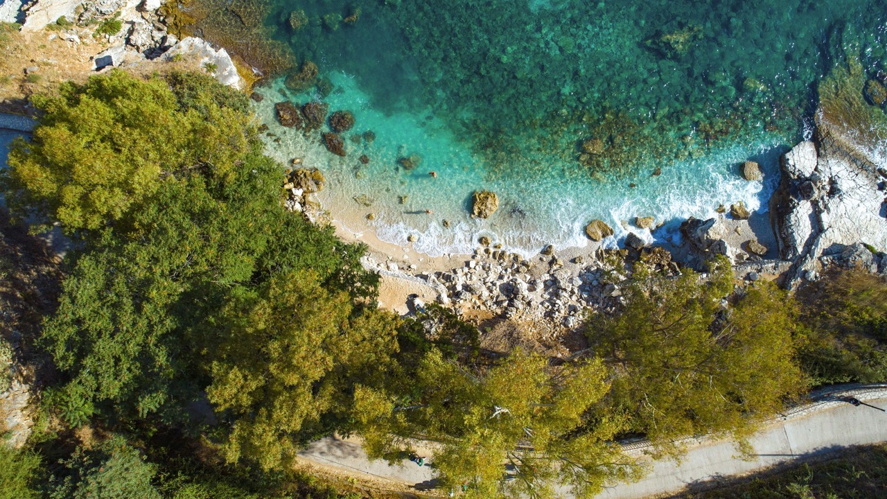 Photo of Others in Petaleia