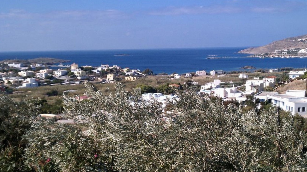 Photo of Others in Posidonia