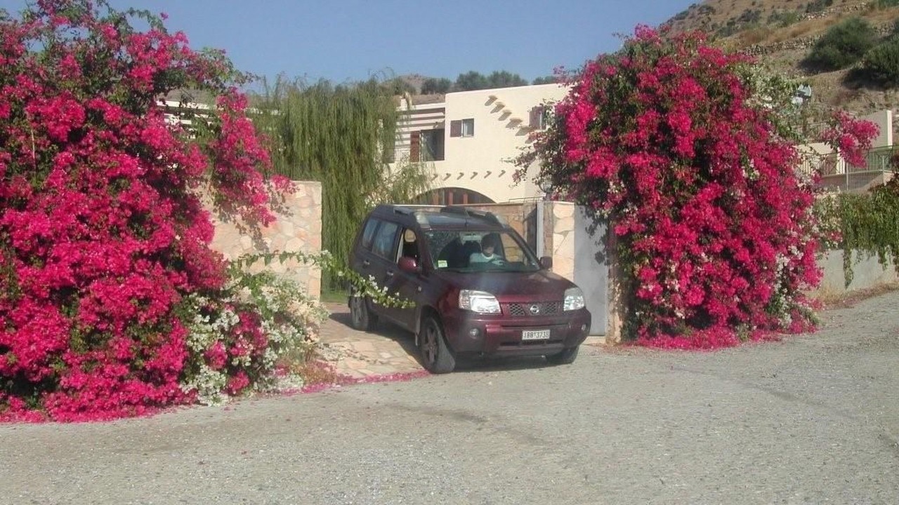 Photo of Others in Agia Galini