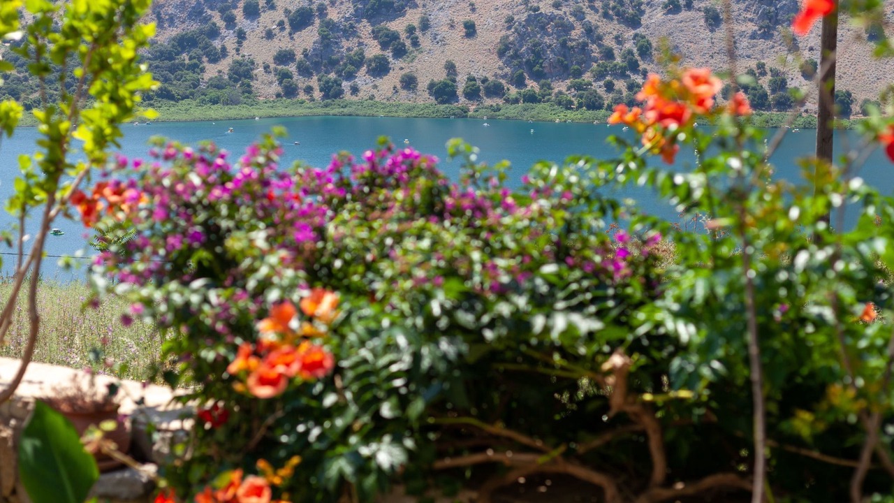 Photo of Others in Kavallos
