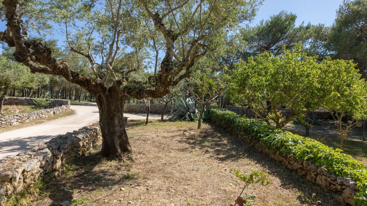 Photo of Others in Agia Marina