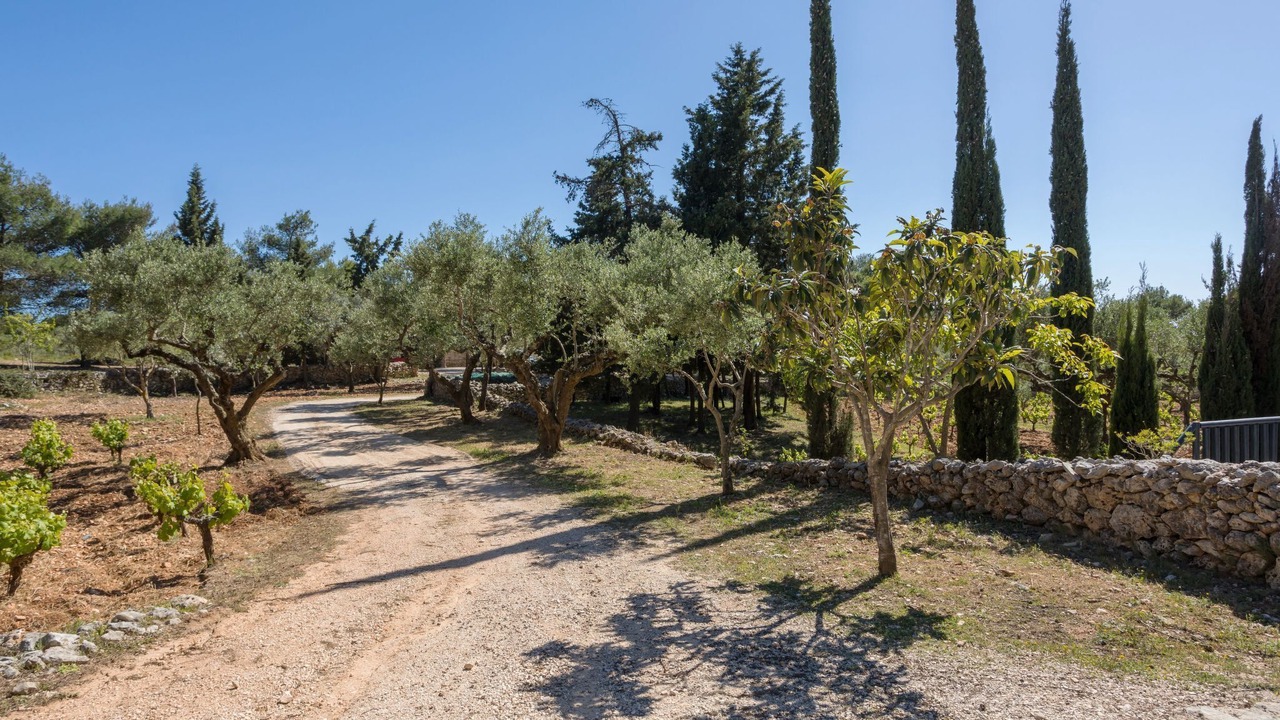 Photo of Others in Agia Marina
