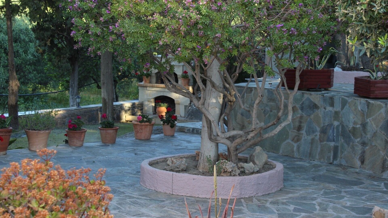 Photo of Patio Balcony in Lassithi Prefecture