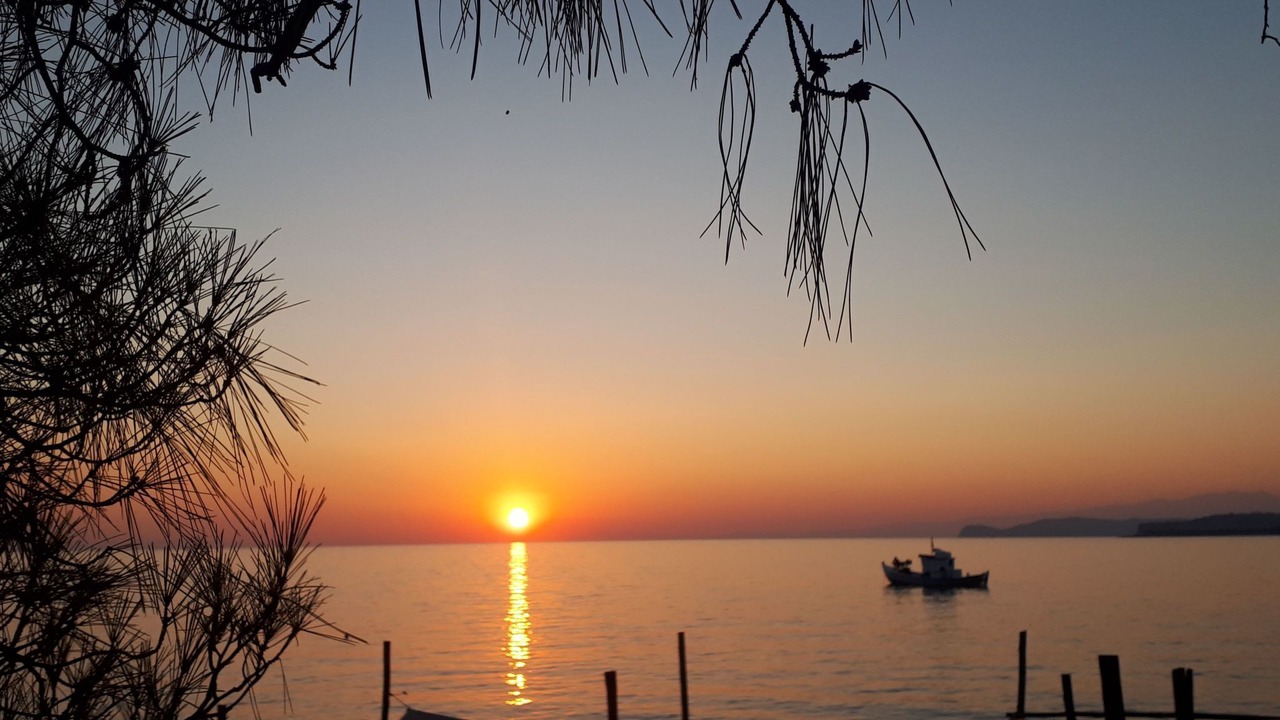 Photo of Others in Skala Potamias