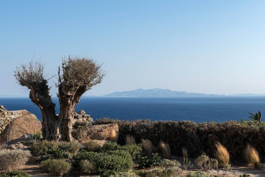 Photo of Others in Mykonos