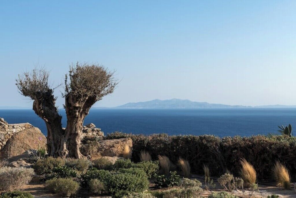 Photo of Others in Mykonos