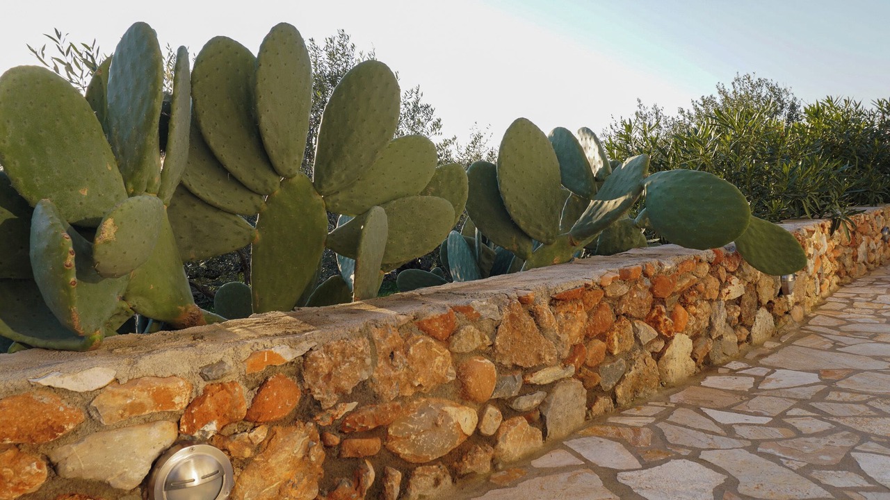 Photo of Outdoor in Riglia