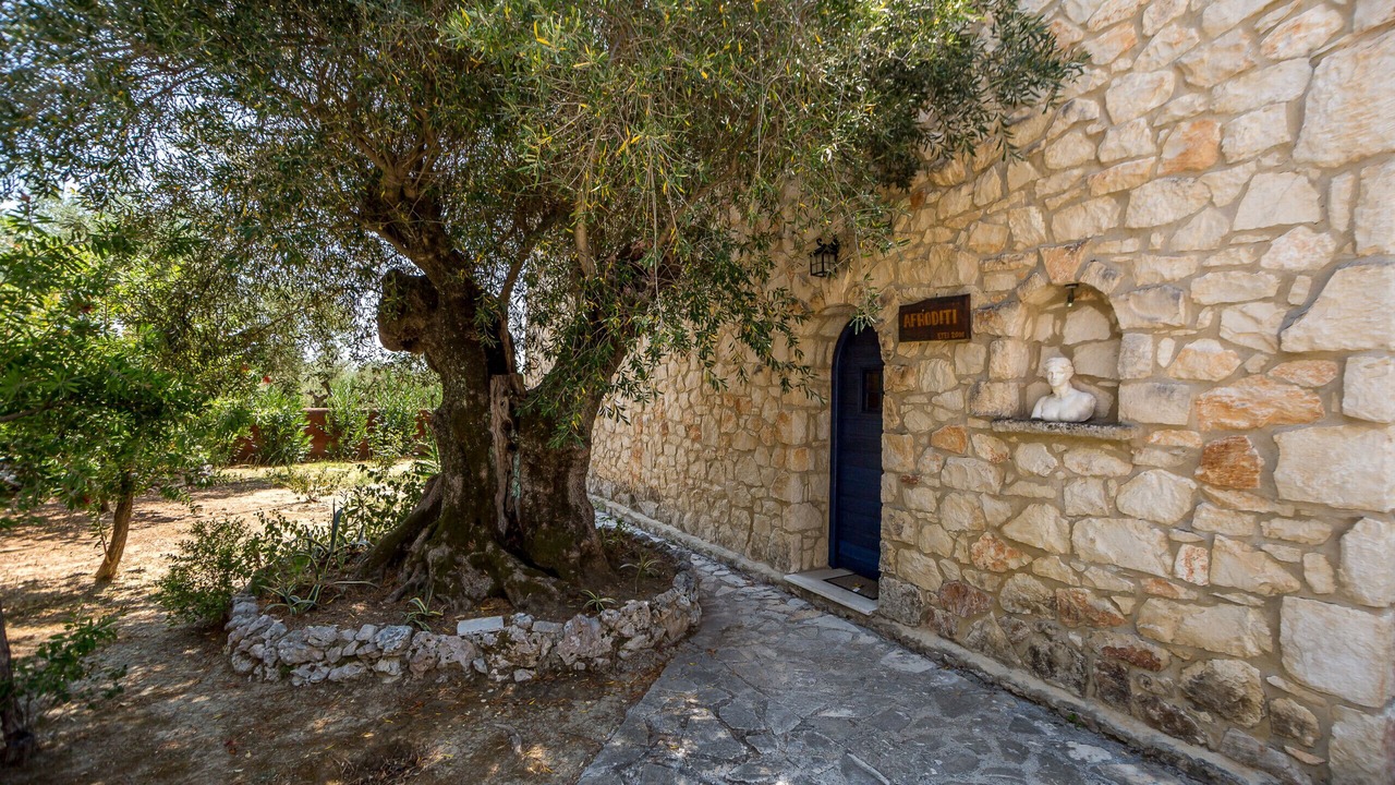 Photo of Outdoor in Agia Marina