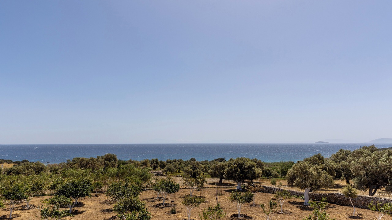 Photo of Others in Naxos