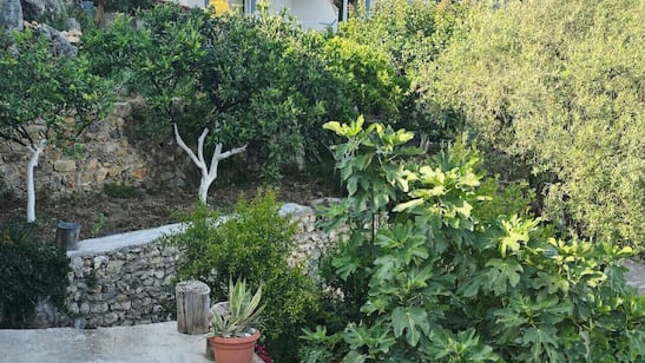 Photo of Outdoor in Himare