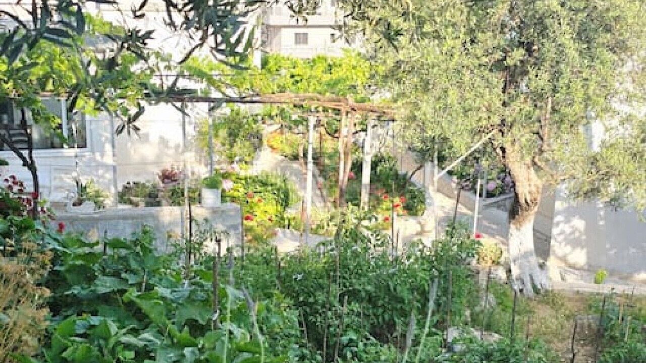 Photo of Outdoor in Himare