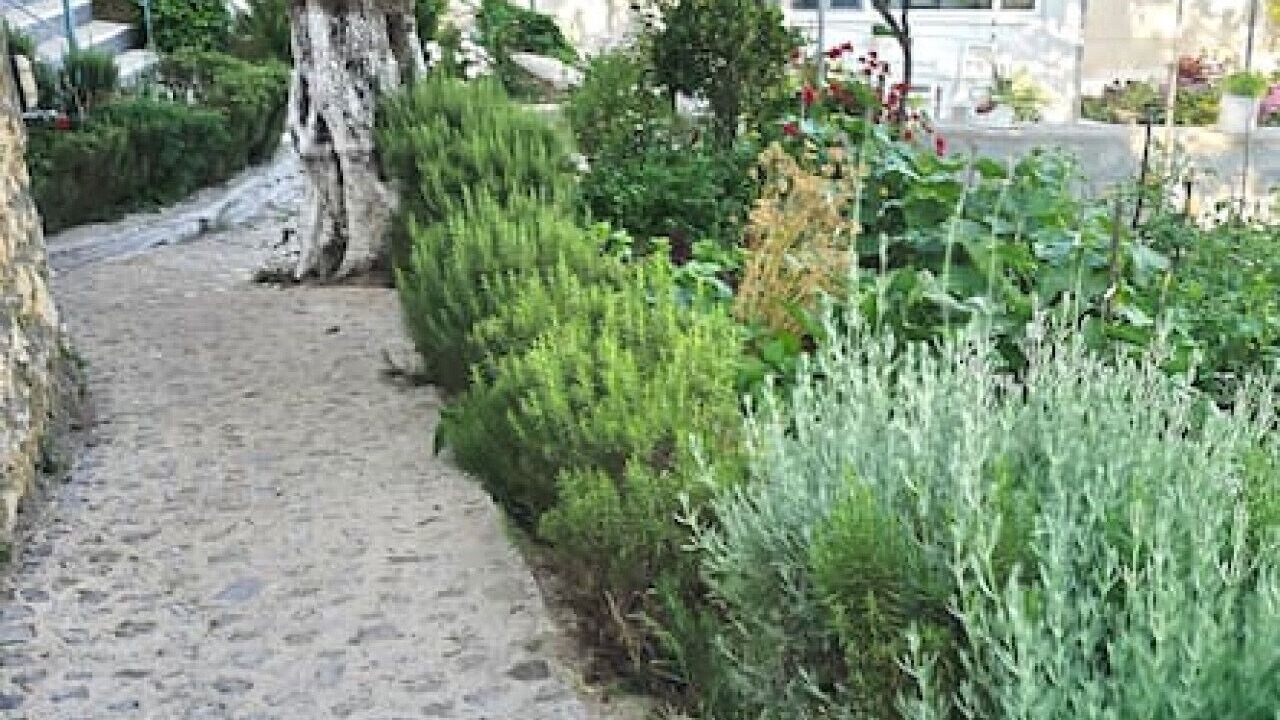 Photo of Outdoor in Himare