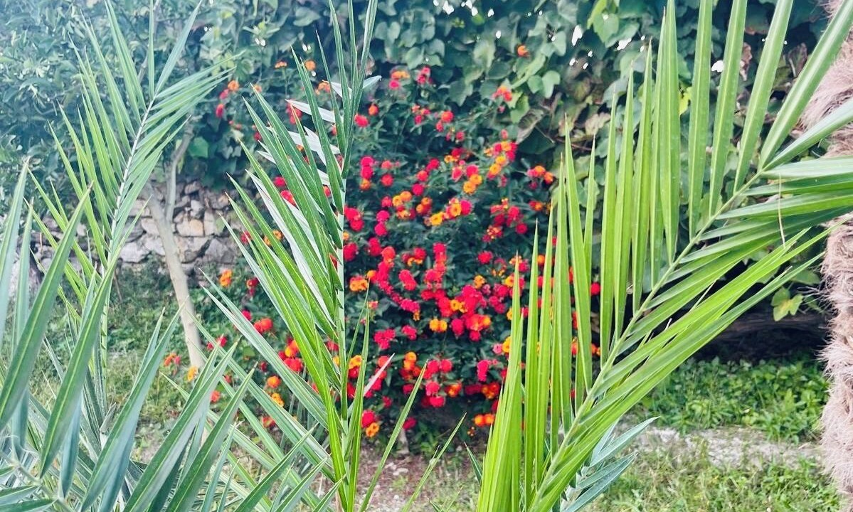 Photo of Outdoor in Shkoder