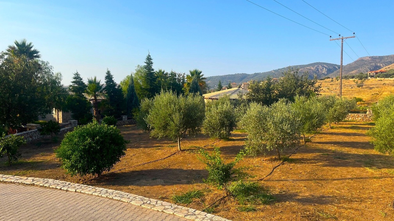 Photo of Outdoor in Kontsika