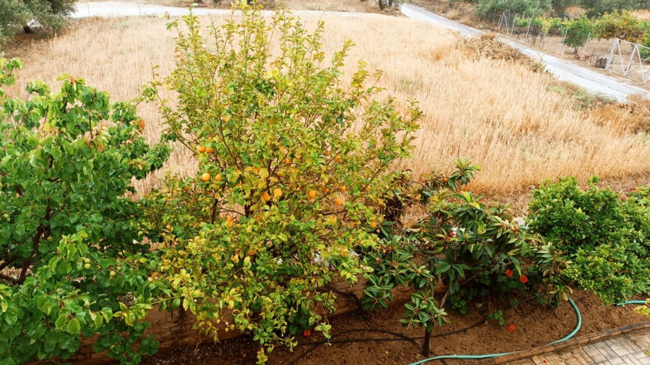 Photo of Outdoor in Kappariana