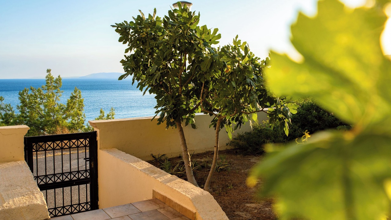Photo of Outdoor in Pefkos