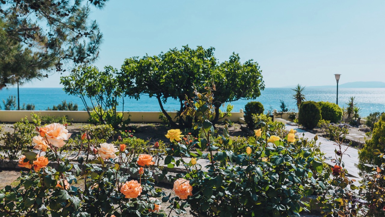 Photo of Outdoor in Pefkos