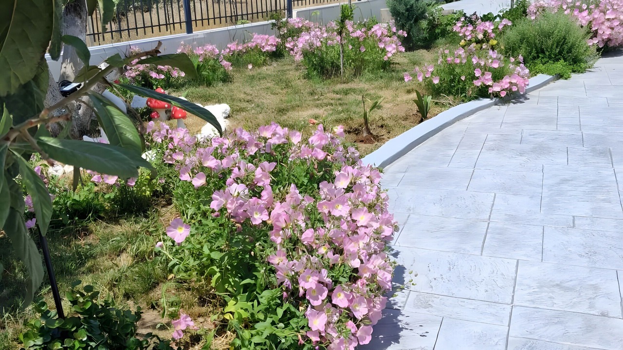 Photo of Outdoor in Loutraki