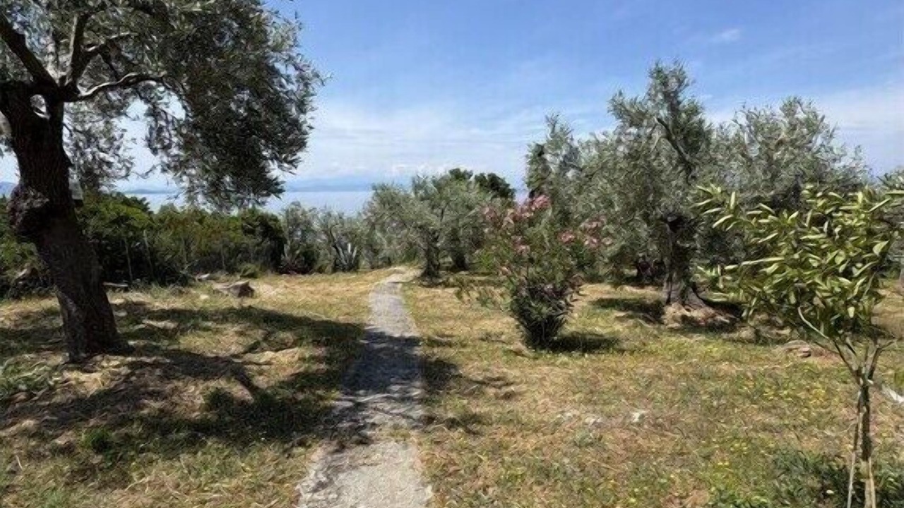 Photo of Others in Afissos