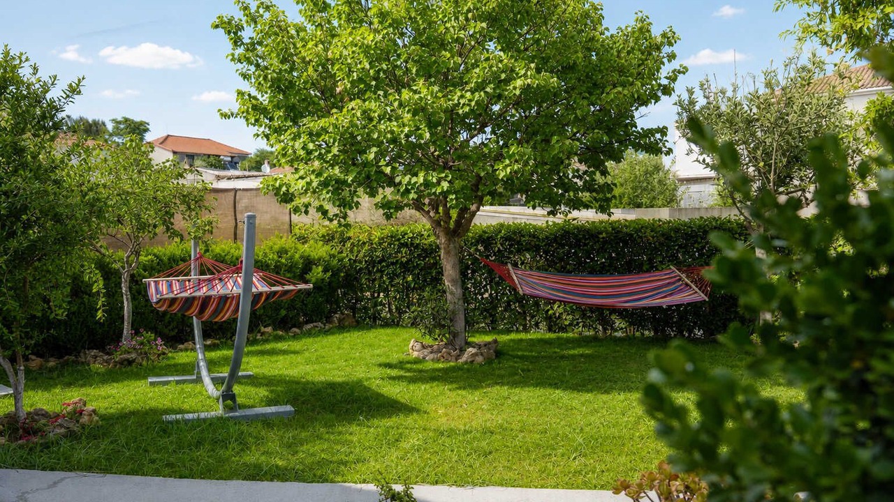 Photo of Outdoor in Valira