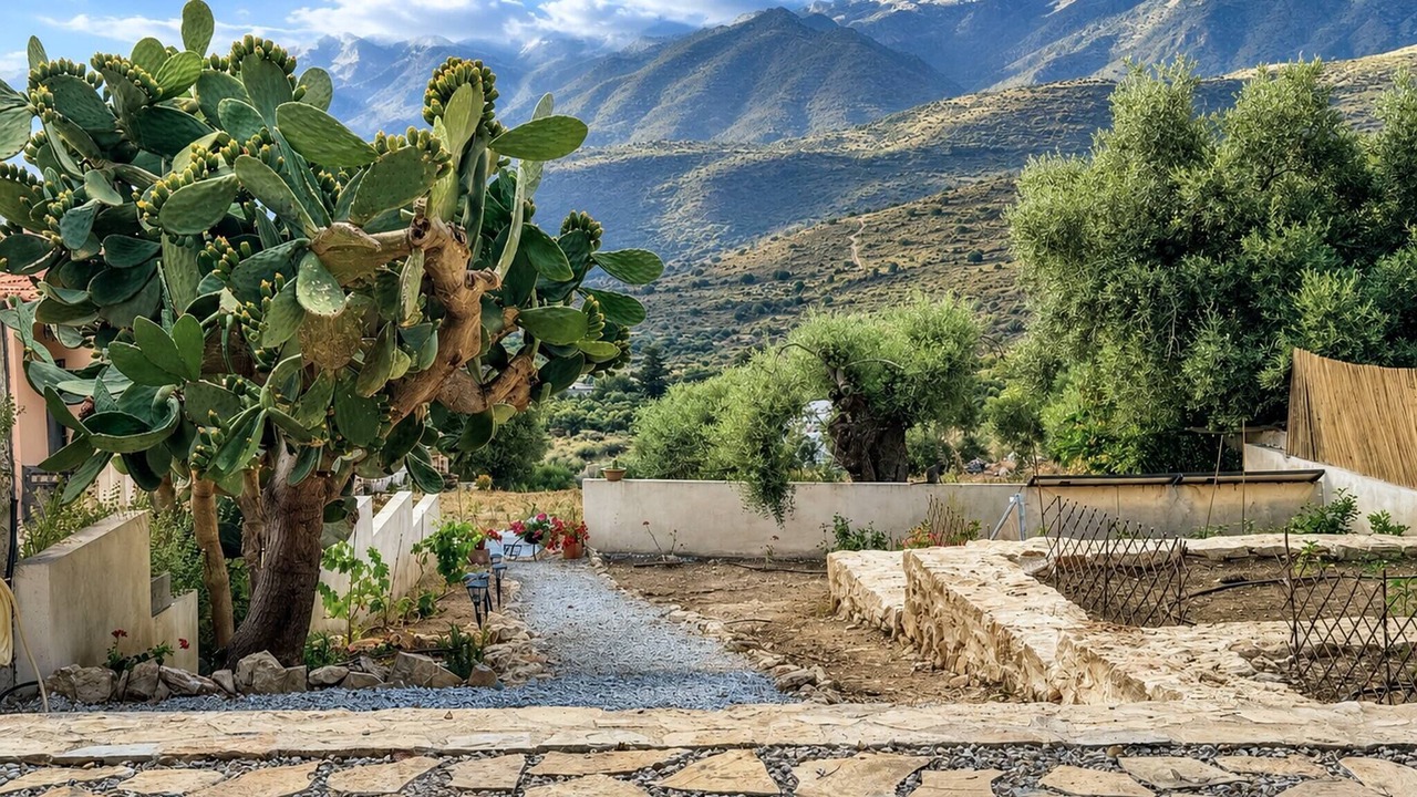 Photo of Outdoor in Megala Chorafia