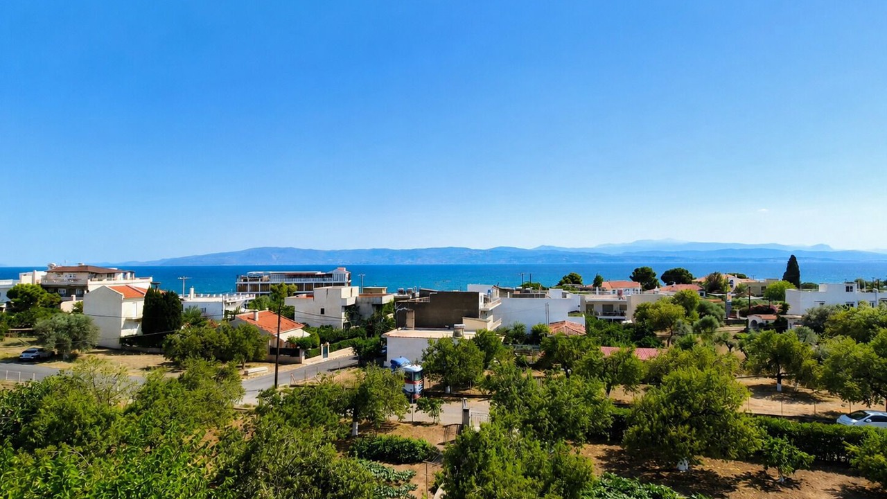 Photo of Others in Amarinthos