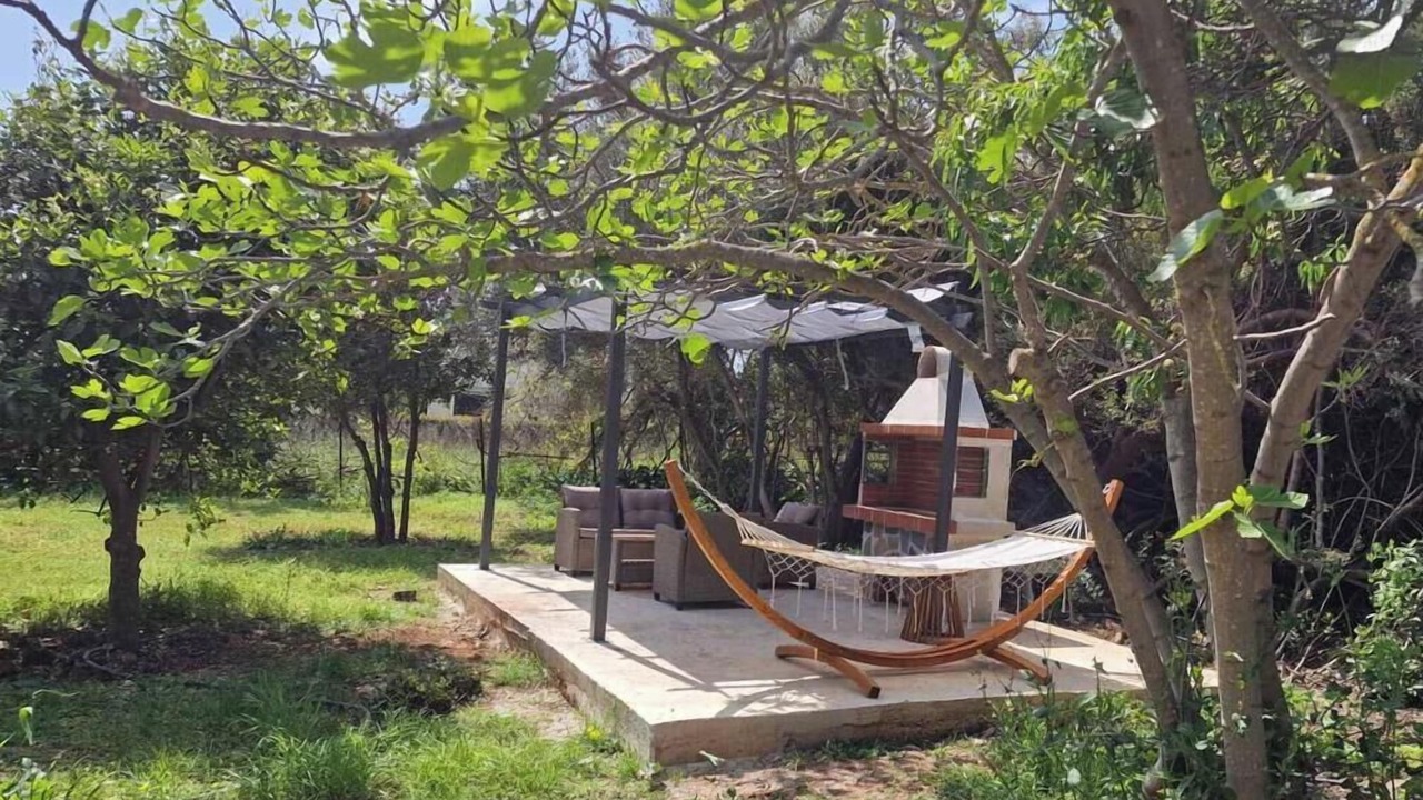 Photo of Outdoor in Nea Makri