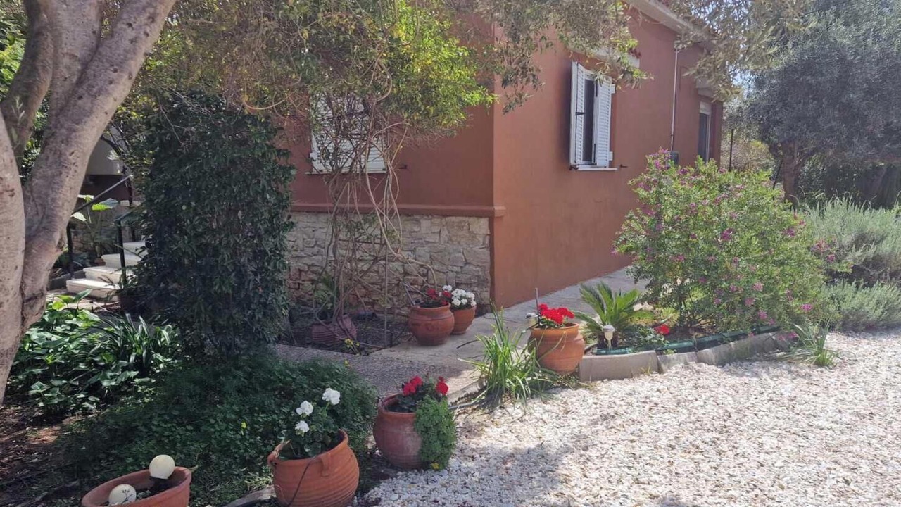 Photo of Outdoor in Nea Makri