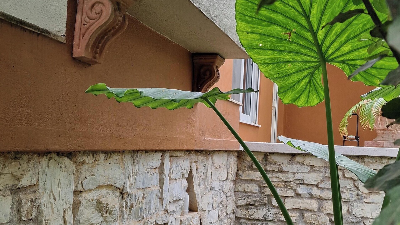 Photo of Outdoor in Nea Makri