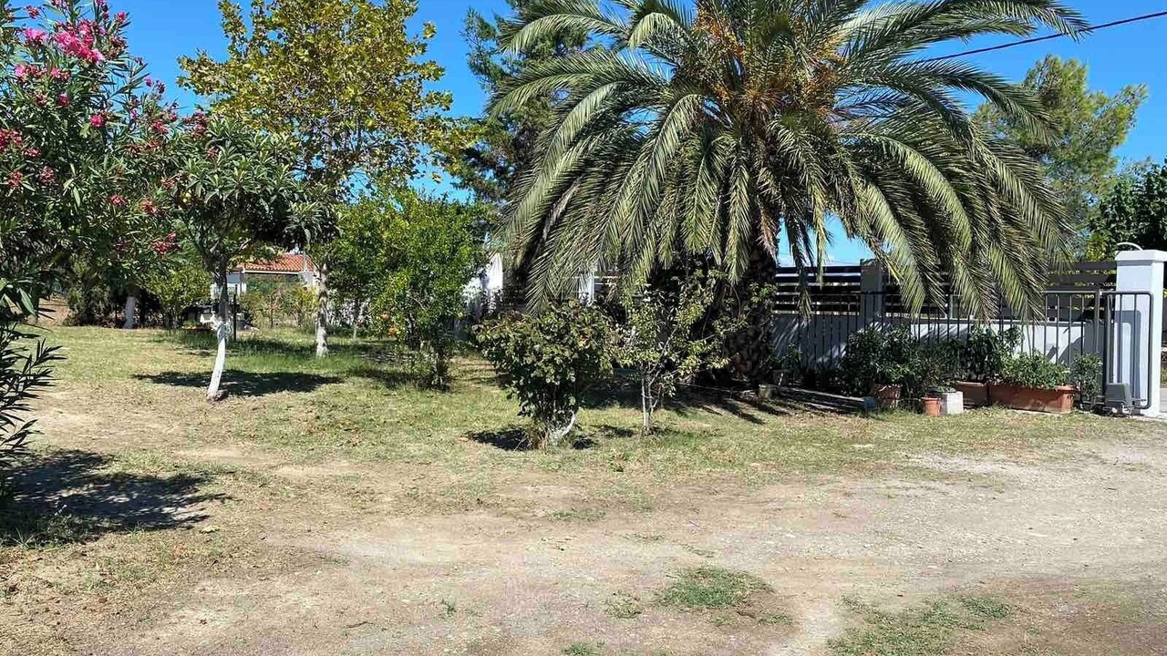 Photo of Outdoor in Chalcis