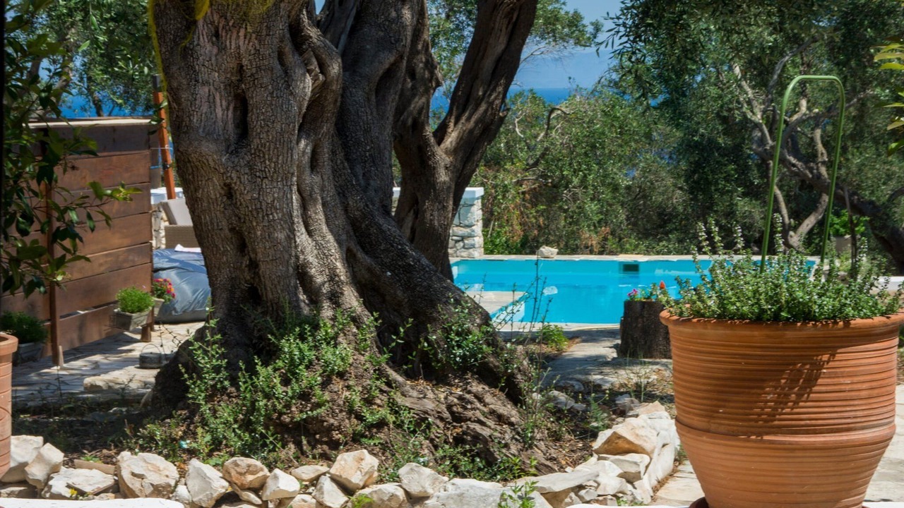 Photo of Others in Gaios