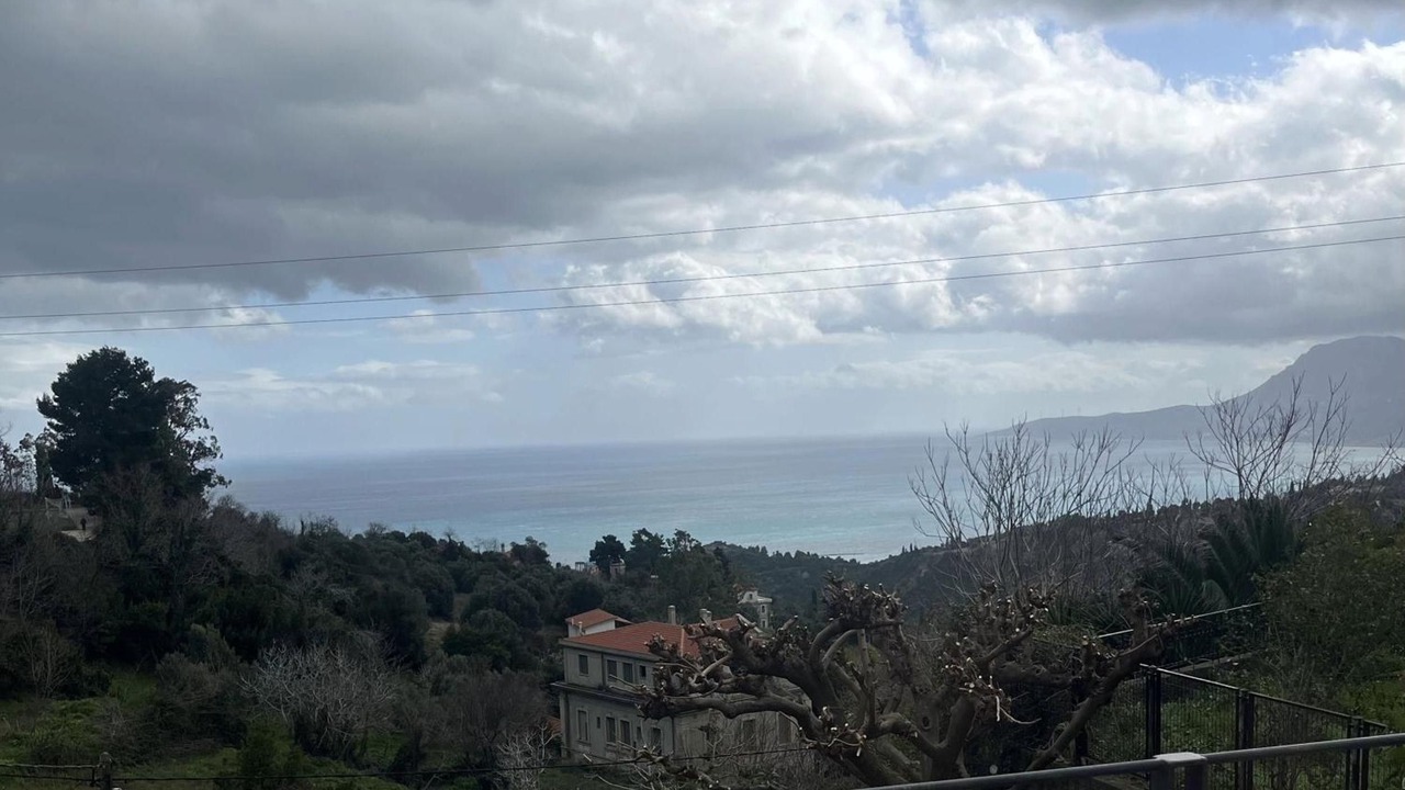 Photo of Outdoor in Sipiada