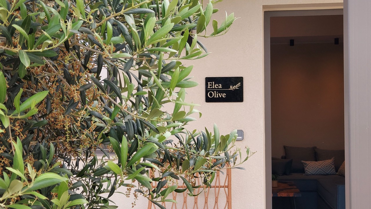 Photo of Outdoor in Platanes